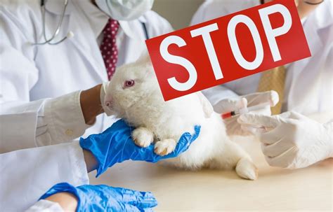 Doctors oppose animal use in PG pharmacology and physiology courses ...