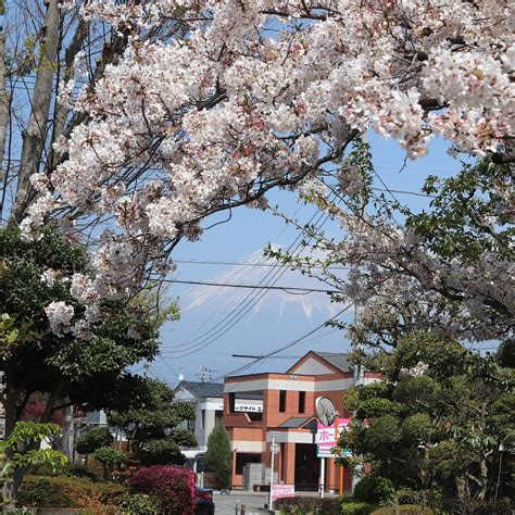 RYOKUDO PARK (Updated 2026) All You Need to Know BEFORE You Go (with ...