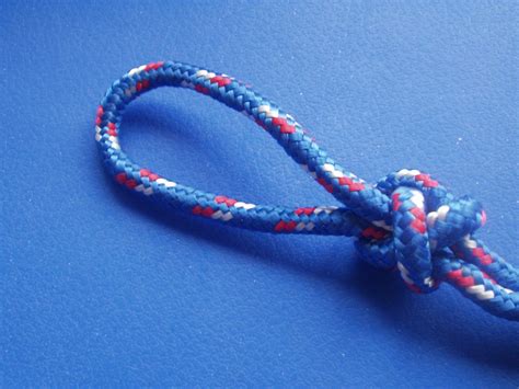 Image result for Wellerman Loop