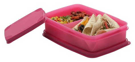 Buy Signora Ware Small Compact Lunch Box Set Of 2, Bpa Free Plastic ...
