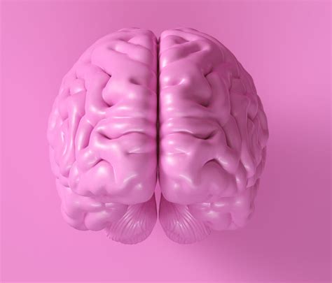 Image result for Memory Protection