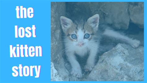 the lost kitten story