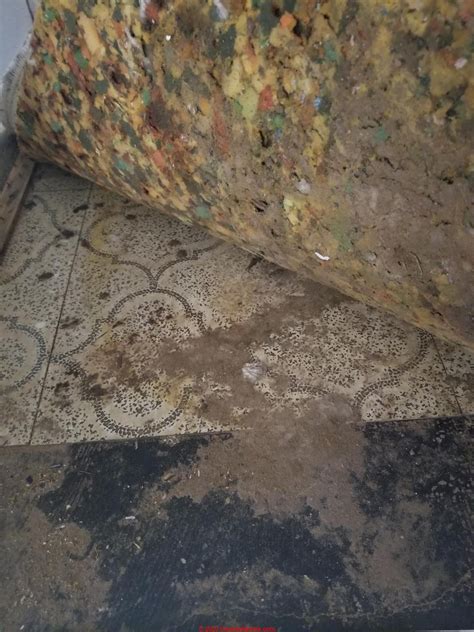 Asbestos Vinyl Floor Tiles Identification – Flooring Tips