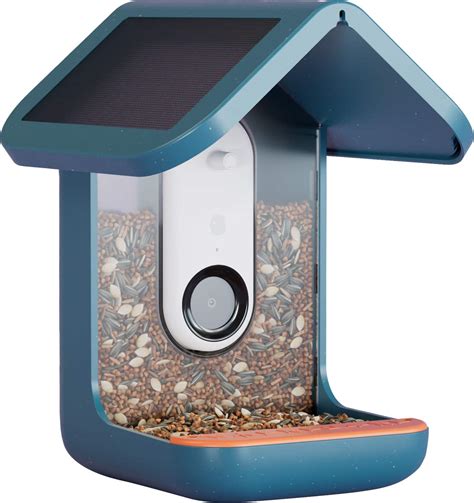 Customer Reviews: Bird Buddy Smart Bird Feeder with Solar Roof Blue ...