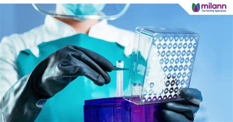 Egg freezing: The process | Milann