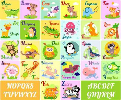 KD animal english alphabets Sticker Poster|Kids learnig poster ...