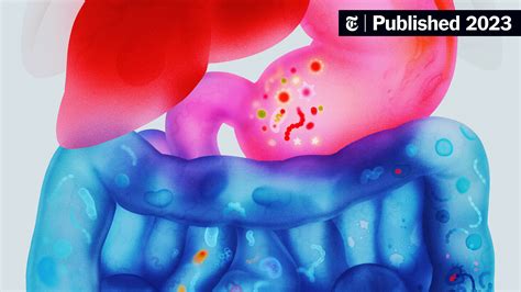 How Do I Know if My Gut is Healthy? Your Microbiome Questions, Answered ...