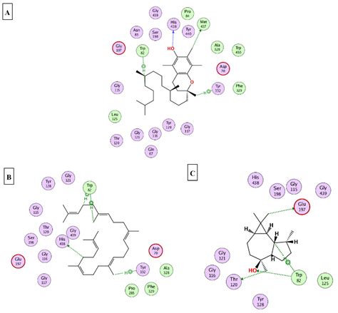 Chemical Constituents, Antioxidant, and Enzyme Inhibitory Activities ...