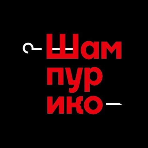 Шампурико - Google Play 앱