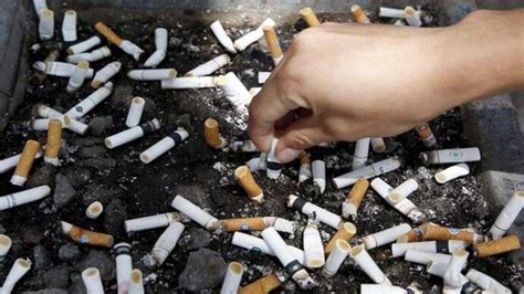 Powerful anti-smoking drug from nicotine-eating bacteria - India Today