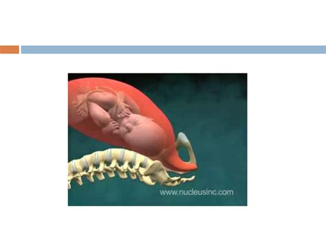 Mechanism of normal labour | PPTX