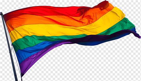 LGBT flag, flags, download With Transparent Background, free png | PNGWing