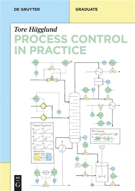 Process Control in Practice : Hgglund, Tore, Bauer, Margret: Amazon.in ...