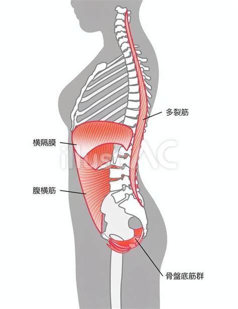 Image result for Structures of Pattern