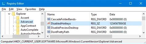 Win Key Enable 的图像结果