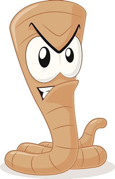 Image result for Segmented Worm Drawing