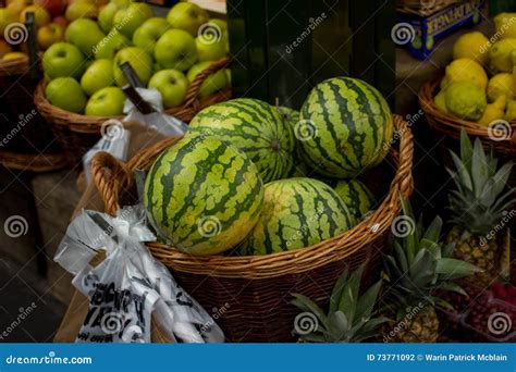 Watermelons on Sale at Fruit Stand Stock Photo - Image of typical ...
