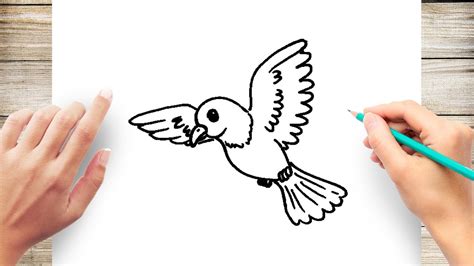 Image result for How to Draw Parrot Flying