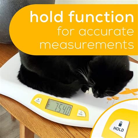 Beurer BY80 Digital Baby Scale - Infant & Pet Scale, Weighs up to 44 ...