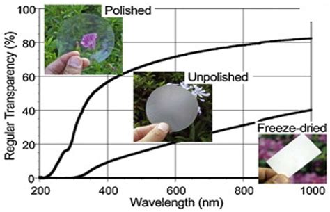 Harnessing Nature’s Ingenuity: A Comprehensive Exploration of ...