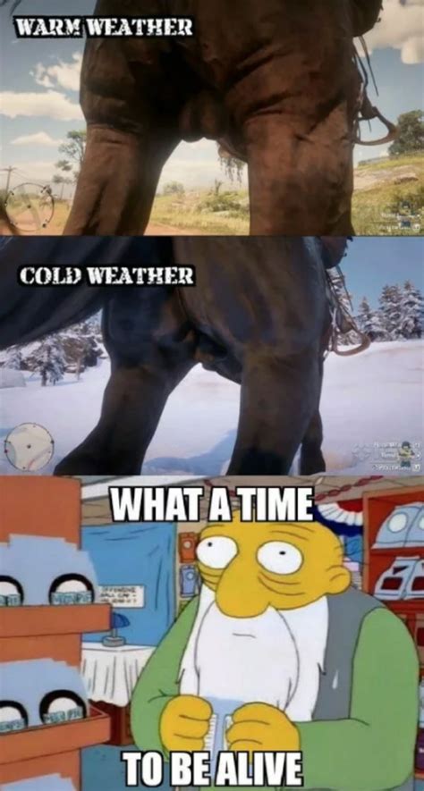 Red Dead Redemption 2 Music Meme 的图像结果