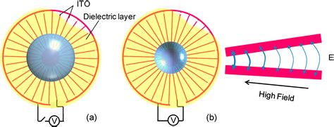 Tunable Focus Liquid Lens with Radial-Patterned Electrode