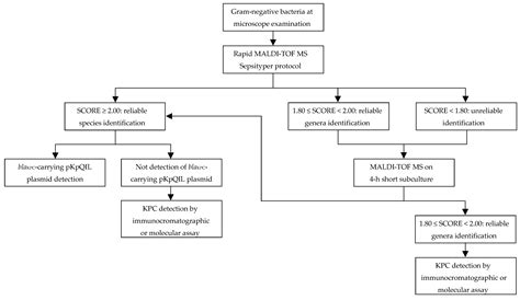 MALDI-TOF MS-Based Approaches for Direct Identification of Gram ...