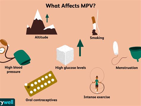 How To Lower Mean Platelet Volume - Numberimprovement23