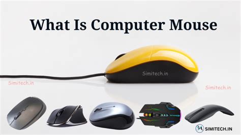 Image result for Mouse Information Computer
