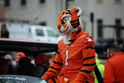 Clemson Tigers Mascot Head 757 Clemson University Tiger Stock Photos,