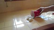 Fixing Bathroom Tiles by Home Repair Kitchen Tile Re Grout Fixing Bathroom Tiles