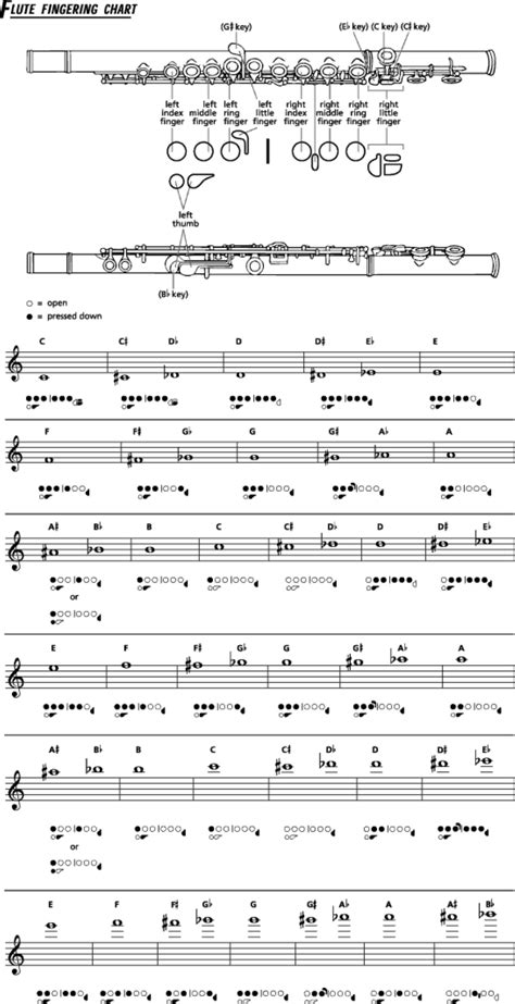 Flute Fingering Chart Example - Edit, Fill, Sign Online | Handypdf