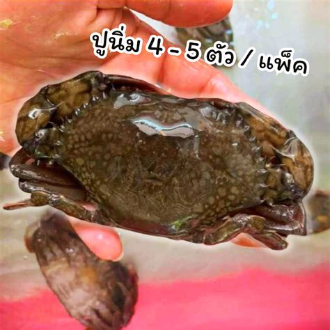 | PFP | LINE SHOPPING