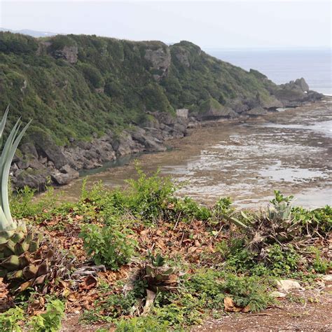 MABUNI HILL (2026) All You Need to Know BEFORE You Go (with Photos ...