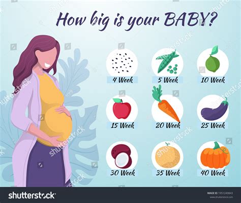 25 Weeks Pregnant Bump