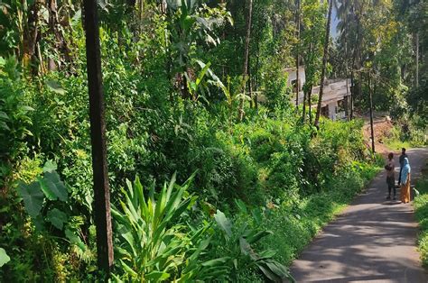 ഉദയഗിരി ലഡാക്കിൽ 50 സെന്റ് സ്ഥലം വിൽപ്പനയ്ക്ക്