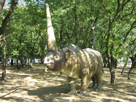 Huge and hairy unicorns roamed the Earth longer than thought