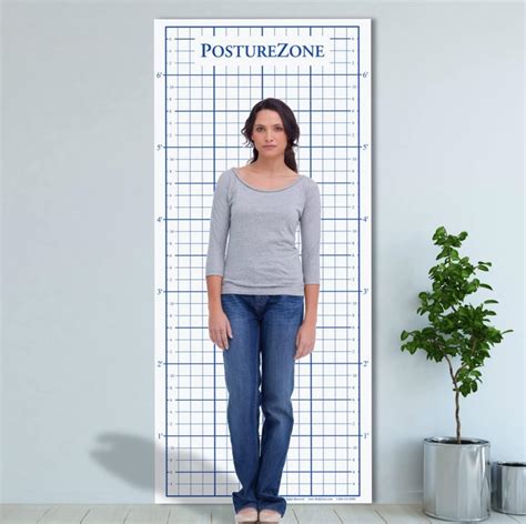 Buy Posture Grid for Posture Assessment - Wall Mount Online at Lowest ...
