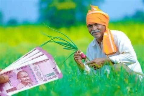 SBI चा अहवाल आला! शेतकऱ्यांचे 'सरासरीउत्पन्न' आणि 'कर्जमाफी'बद्दल काय ...
