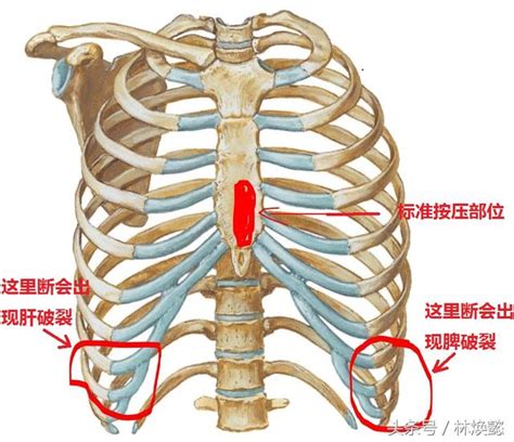 专业分析：按断别人12根肋骨，你是怎么做到的 - 每日头条