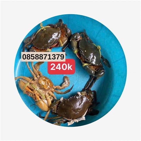 AMBIL SEKARANG