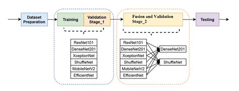 Steps Simulation 的图像结果