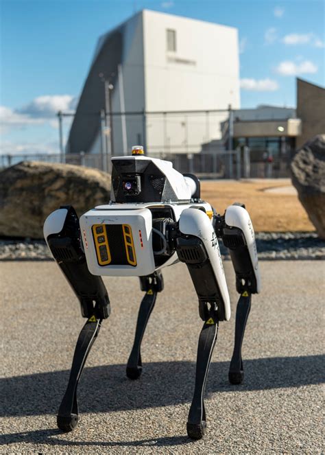 Robot 的图像结果