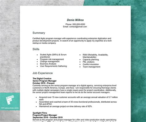 Image result for Program Manager Objective Statement Resume