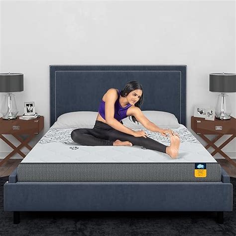 Centuary Mattresses Sleepables 6-Inch Queen Size Ortho Pocketed Zero ...