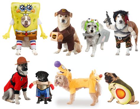 Picture Perfect Dog Costumes to Treat Your Furry Friends [Costume Guide ...