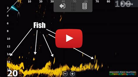 Image result for Using Active Target for Fishing