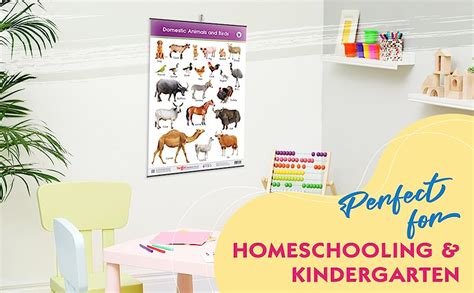 Buy Jumbo Domestic Animals and Birds Chart for Kids | Learn Names of ...