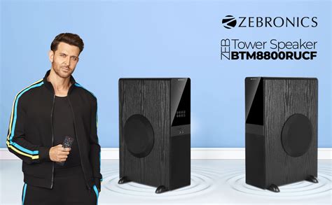Amazon.in: Buy ZEBRONICS BTM8800 RUCF 2 Channel 100W Tower Speaker with ...