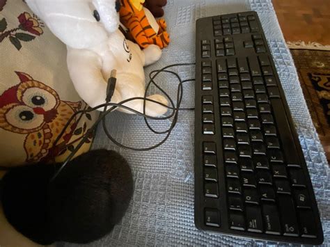 Dell Keyboard Test 的图像结果